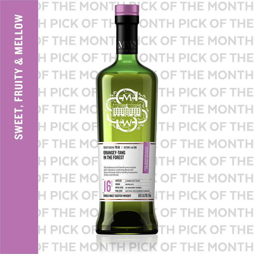 Orangey-Tang In The Forest